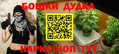 гашик Кинель