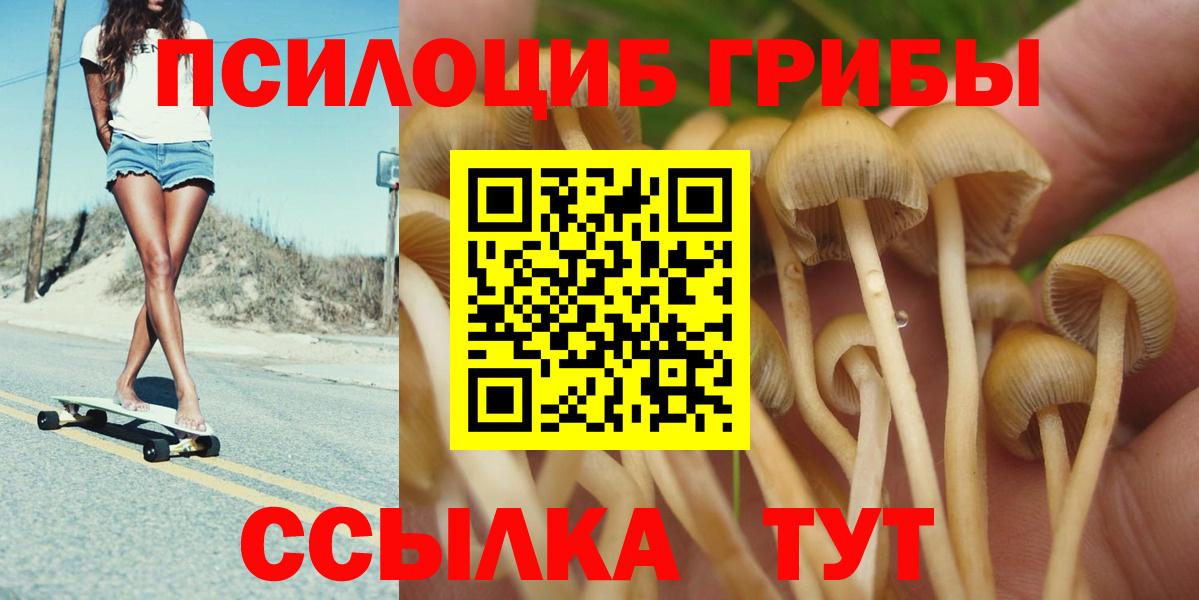 Кстово  Псилоцибиновые грибы Psilocybine cubensis  Псилоцибиновые грибы Psilocybe  Вход с VPN 