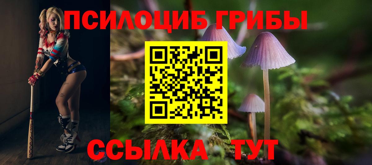 Галлюциногенные грибы MAGIC MUSHROOMS Кстово